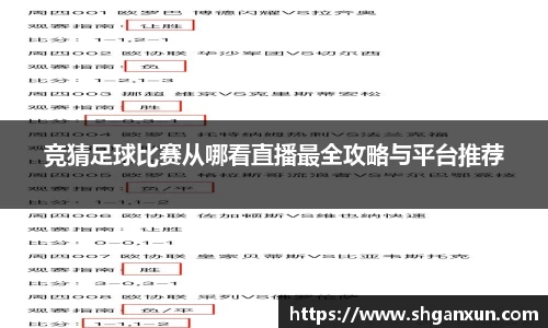 竞猜足球比赛从哪看直播最全攻略与平台推荐
