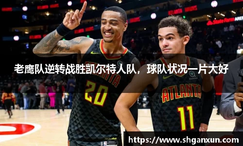 333体育官网