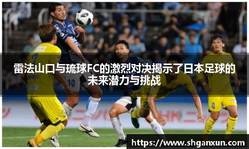 333体育