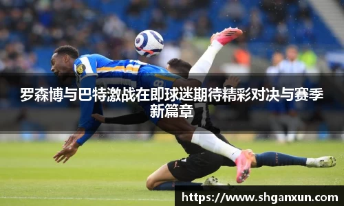 333体育官网