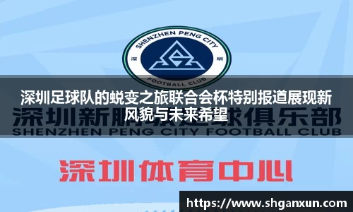333体育官网